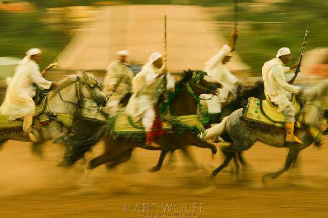  ,  Art Wolfe