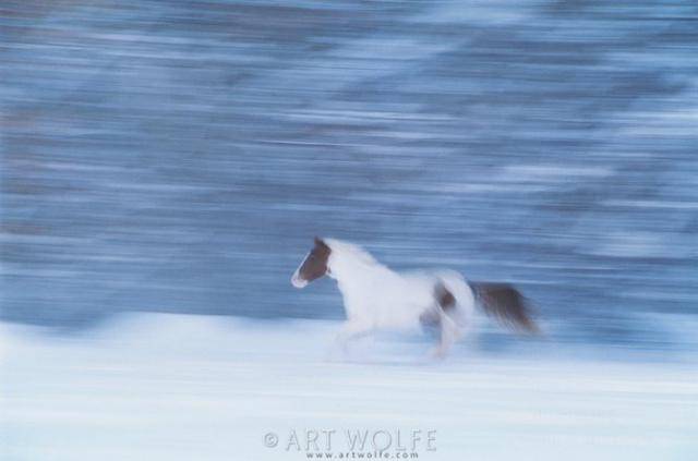  ,  Art Wolfe