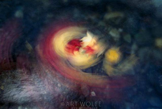  ,  Art Wolfe