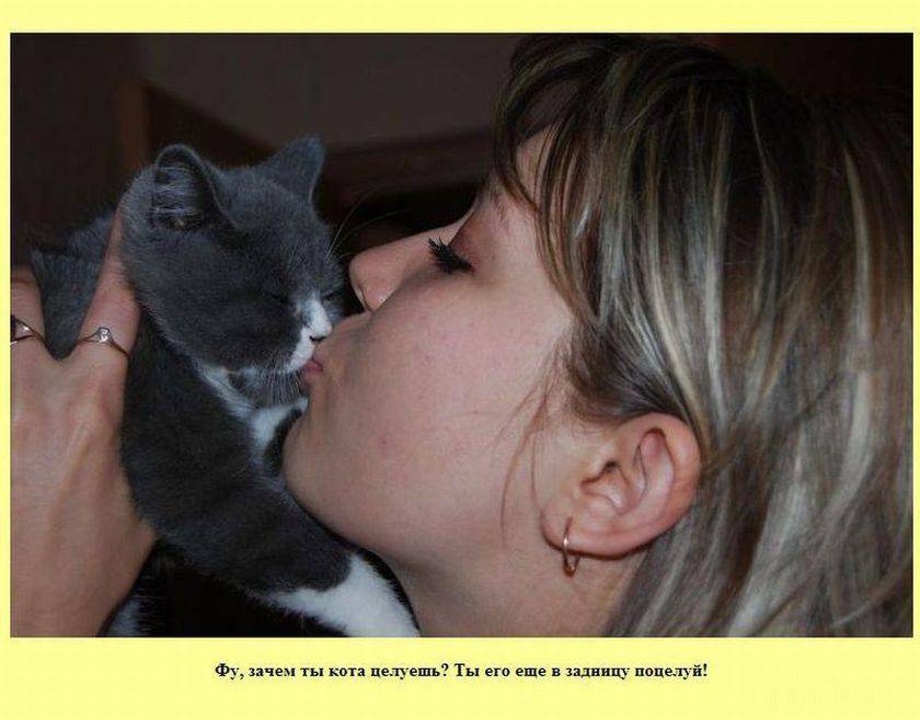 Полижу москва. Человек целует кота. Девушка целует кошку. Целование с кошками. Целует кота в нос.