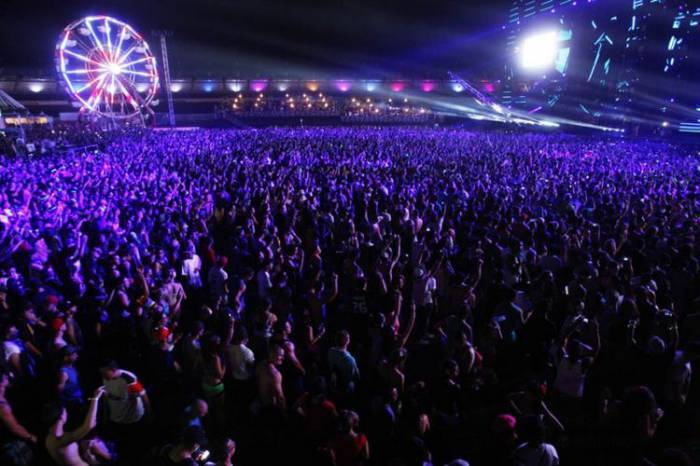    Electric Daisy Carnival  -