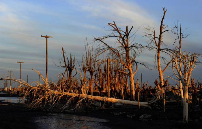 Villa Epecuen -    (21 )