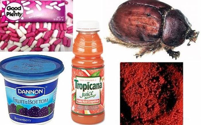 Самые отвратительные пищевые ингредиенты (10 фото)