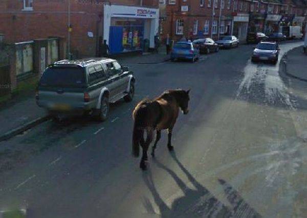    -  Google Street View