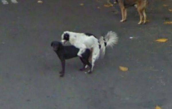    -  Google Street View