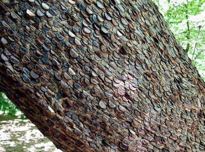Интересное денежное дерево