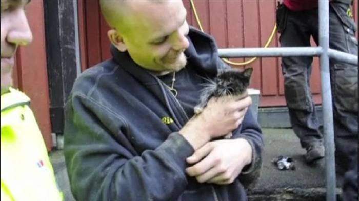 Как в Швеции спасали котенка