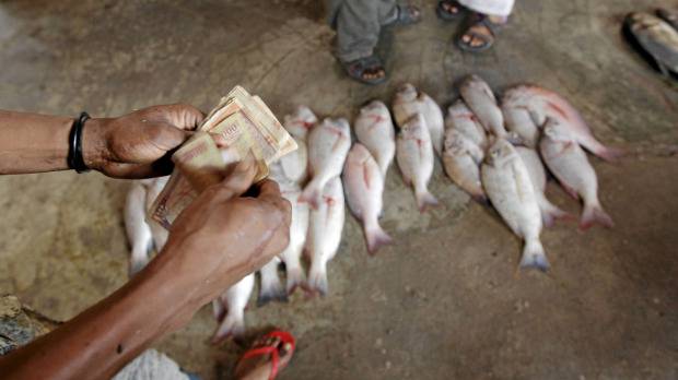 Улов рыбаков на Сомали (30 фото)
