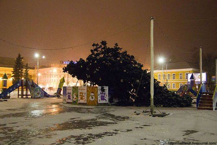 В Петрозаводске упала новогодняя ель (4 фото)
