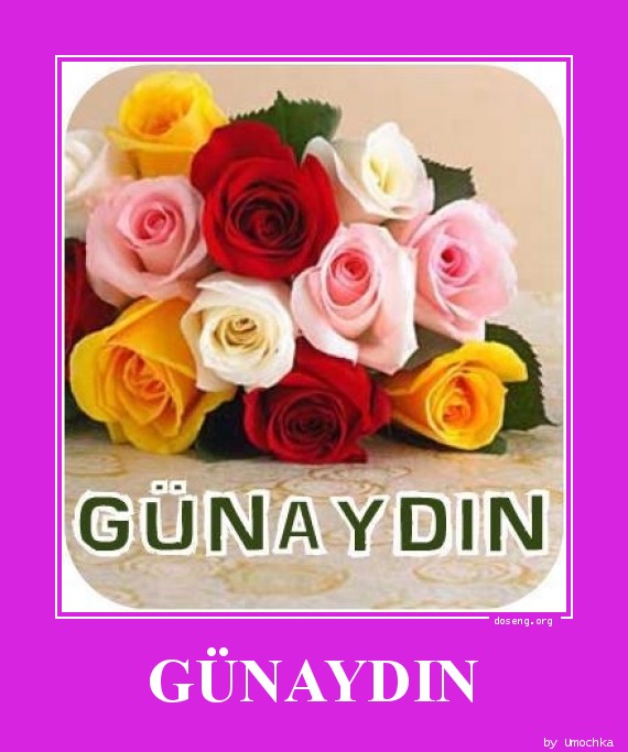 G&#220;NAYDIN