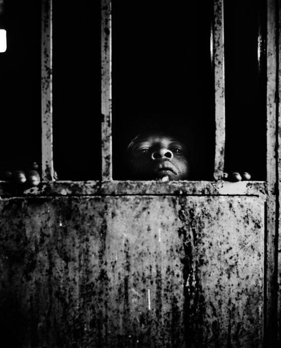 Жуткие фото тюрем и больниц в Сьерра-Леоне (63 фото)