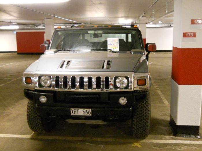   Hummer (3 )