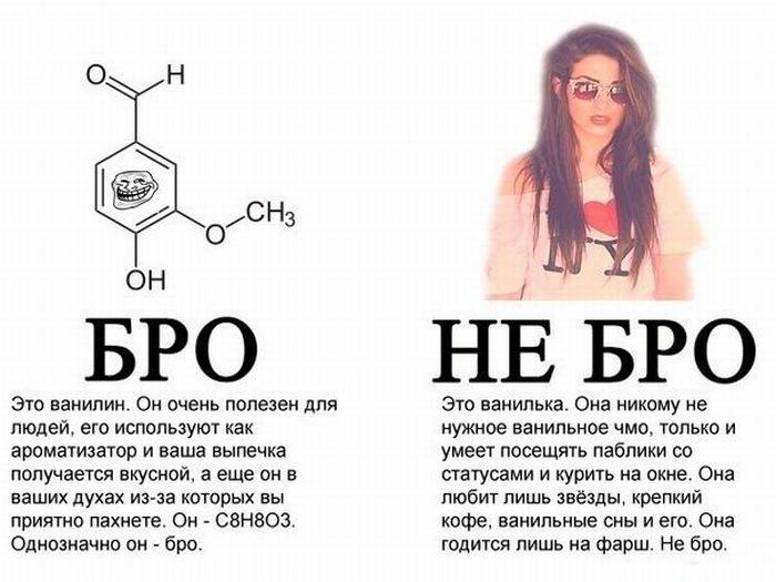 Человек бро. Бро. Бро не бро. Бро что это значит. Бро не бро картинки.