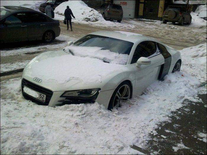   Audi R8 (8 )