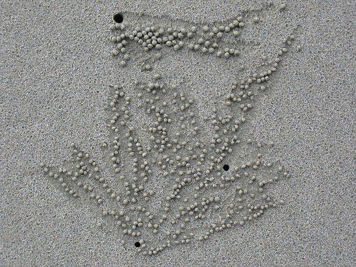 Необычные узоры на песке (20 фото)