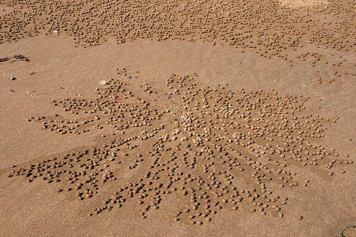 Необычные узоры на песке (20 фото)