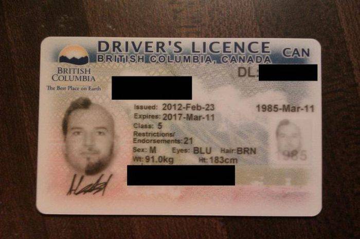 Оригинальное фото на водительские права (10 фото)