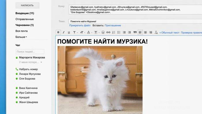 Браузер Google Chrome поможет в поиске котенка (10 скриншотов)