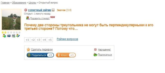   mail.ru (19 )