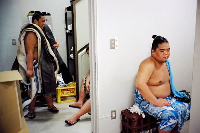 Борцы сумо в обычной жизни (22 фото)