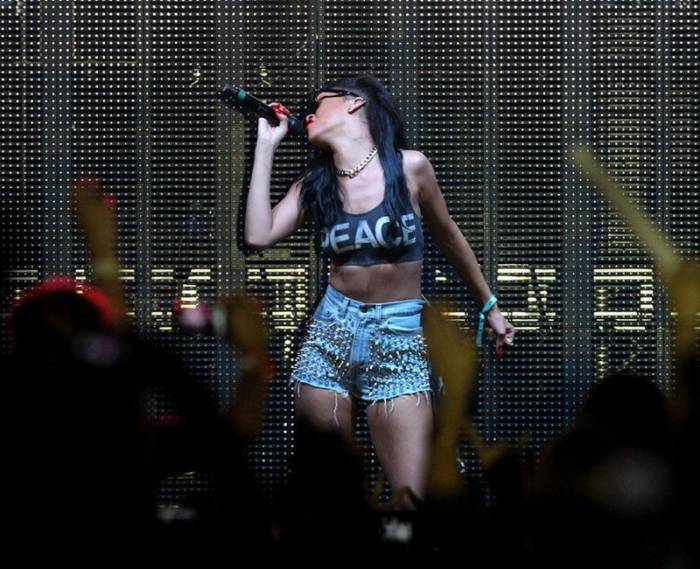   Coachella 2012 (30 )