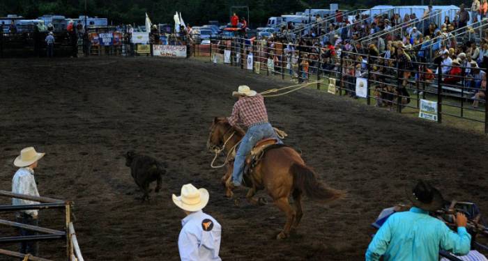  South Florida Rodeo   (29 )