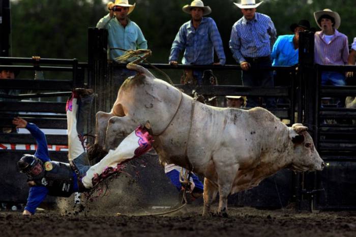  South Florida Rodeo   (29 )