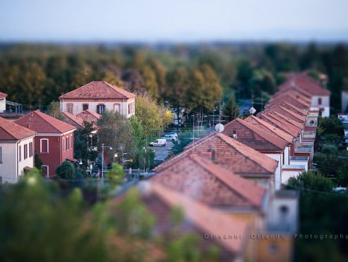     Tilt Shift (84 )