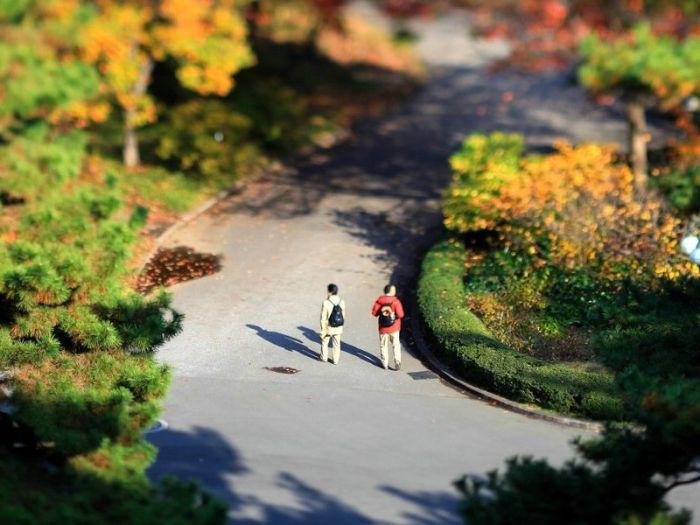     Tilt Shift (84 )