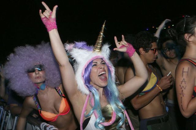   Electric Daisy Carnival (50 )