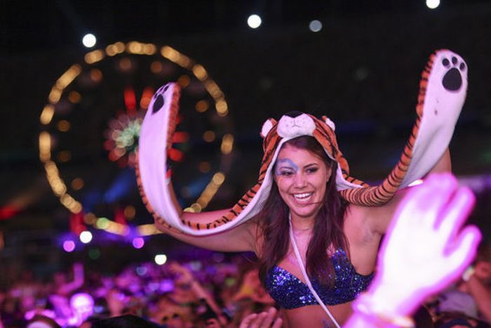   Electric Daisy Carnival (50 )