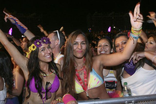   Electric Daisy Carnival (50 )