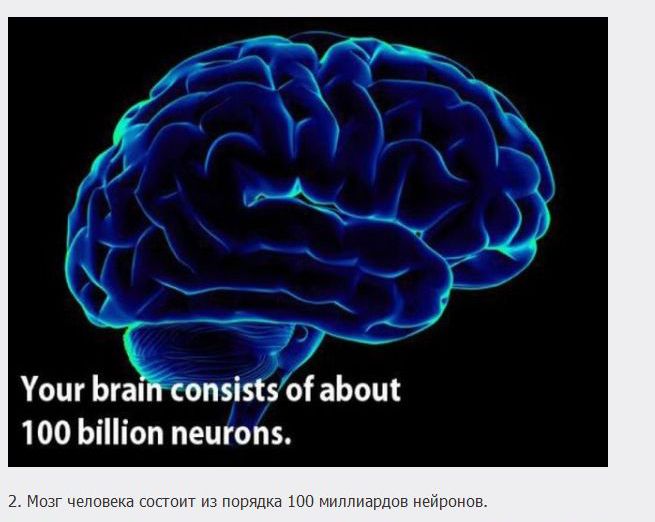 18 загадочных фактов о мозге (18 фото)