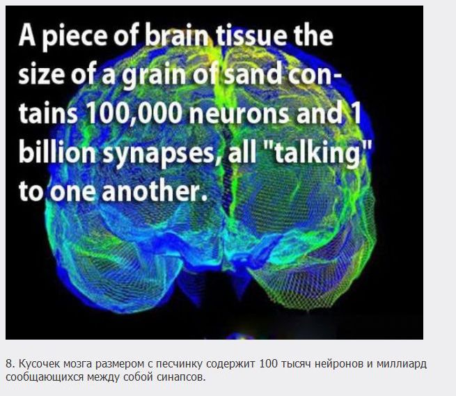 18 загадочных фактов о мозге (18 фото)