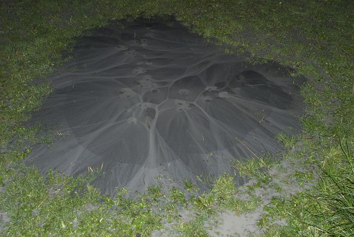 Грязевой вулкан у себя во дворе (25 фото)