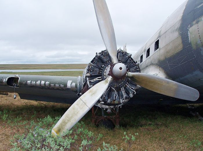   C-47 (14 )