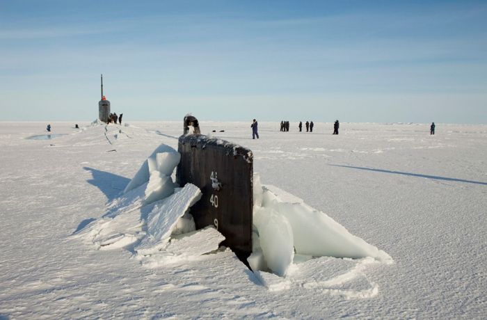 Экспедиция в вечную мерзлоту Арктики (20 фото)