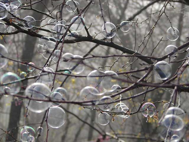 Деревья из пузырьков (3 фото)