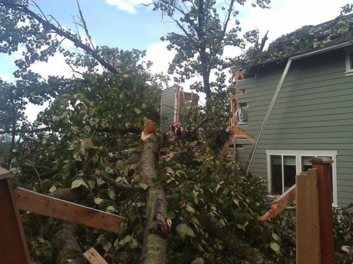 На дом упало дерево (13 фото)