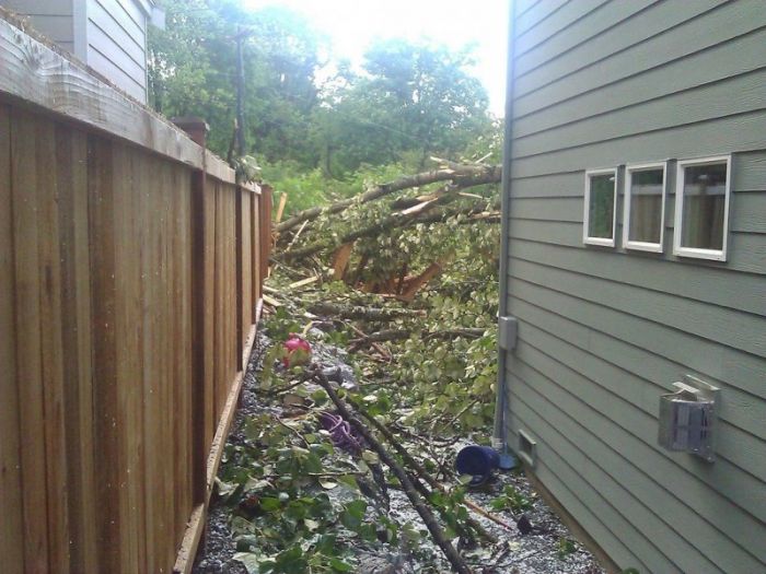 На дом упало дерево (13 фото)