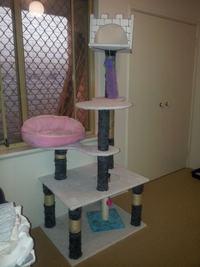 Башня для любимого кота (13 фото)