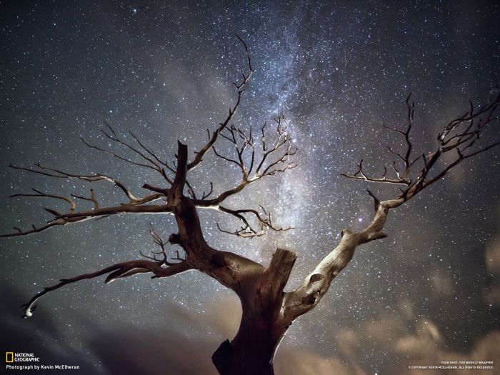 Удивительные снимки от National Geographic