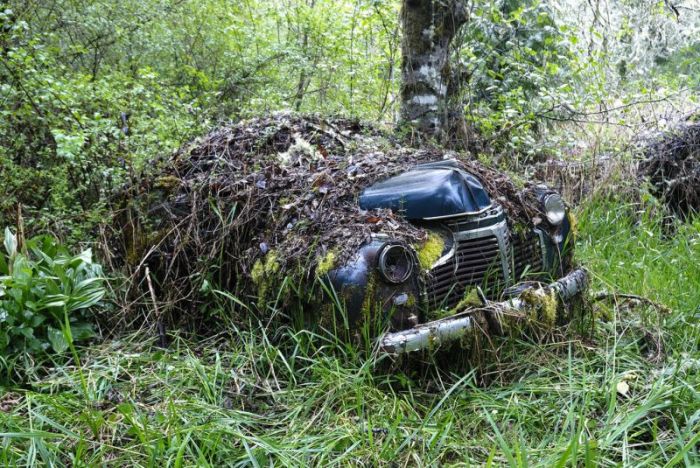 Таинственные снимки заброшенных американских авто в лесу