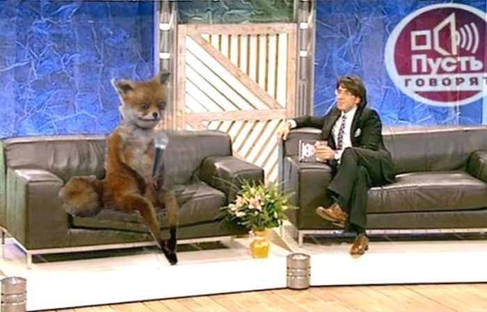 Чучело лисы стало интернет-мемом за несколько дней
