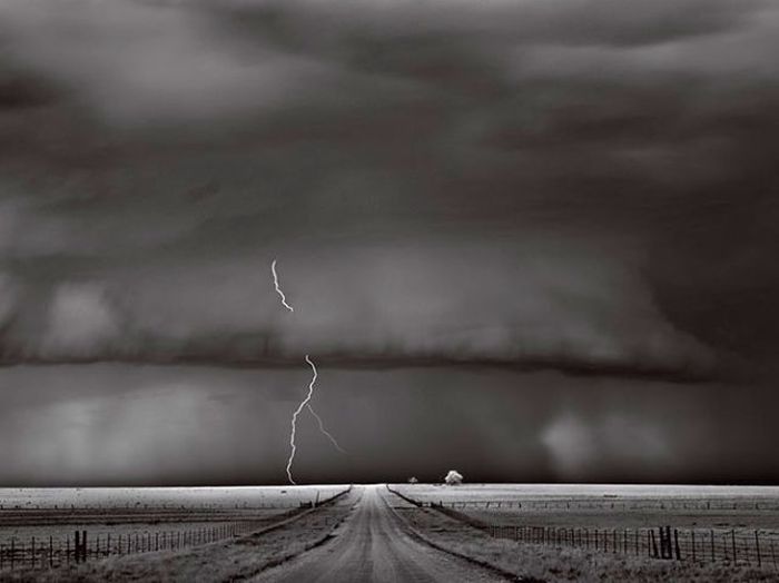 Коллекция удивительных снимков от National Geographic за 2012 год