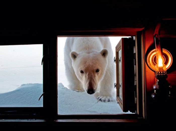 Коллекция удивительных снимков от National Geographic за 2012 год