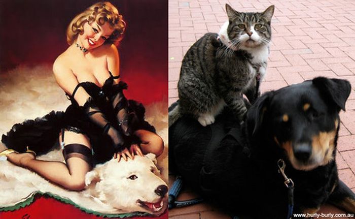 Красивые девушки и коты в стиле Пин-Ап (55 фото)