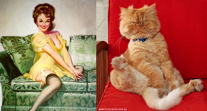 Красивые девушки и коты в стиле Пин-Ап (55 фото)