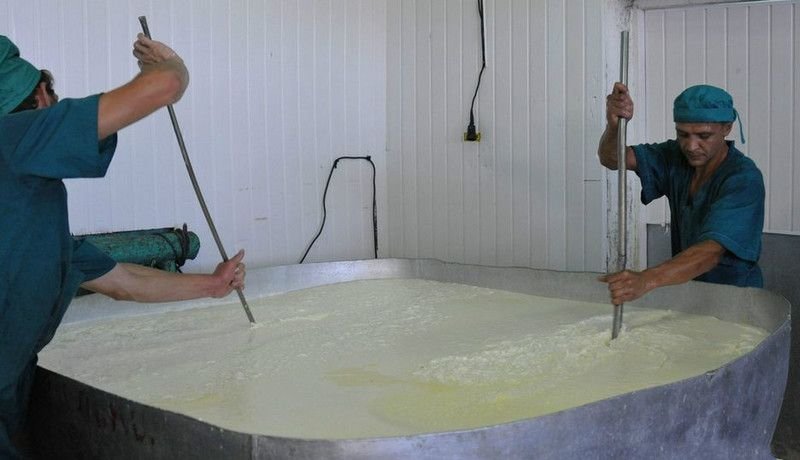 Из чего делают сыр косичка мужики в молоке