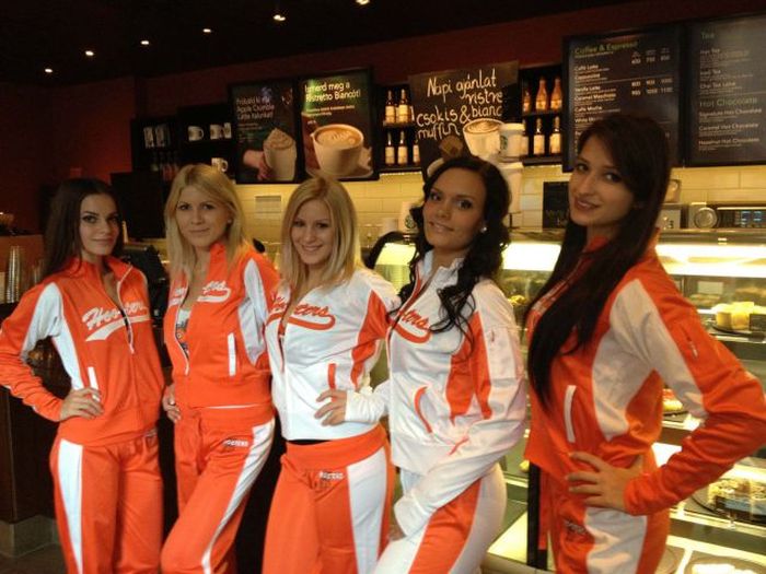     Hooters   (86 )